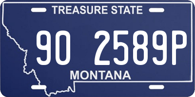MT license plate 902589P
