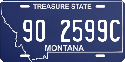 MT license plate 902599C
