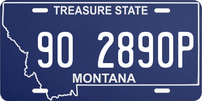 MT license plate 902890P