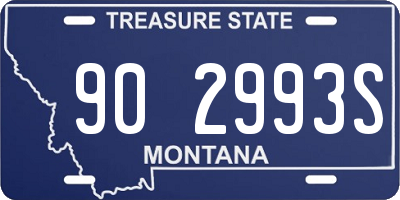 MT license plate 902993S