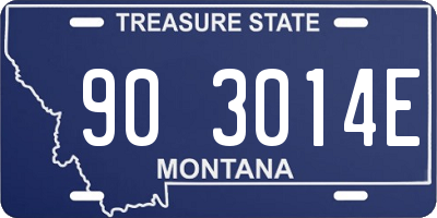 MT license plate 903014E