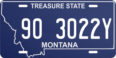 MT license plate 903022Y