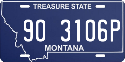MT license plate 903106P