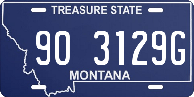 MT license plate 903129G
