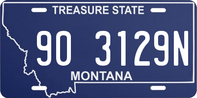 MT license plate 903129N