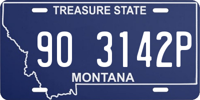 MT license plate 903142P