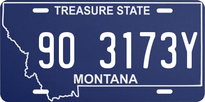 MT license plate 903173Y