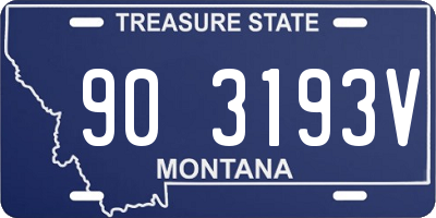 MT license plate 903193V