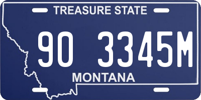 MT license plate 903345M