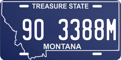 MT license plate 903388M