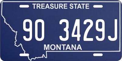MT license plate 903429J