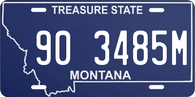 MT license plate 903485M