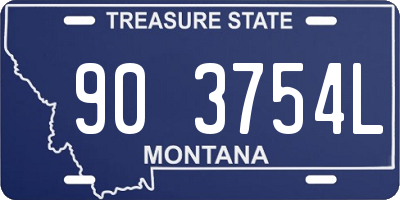 MT license plate 903754L