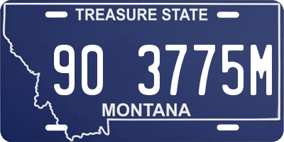 MT license plate 903775M