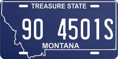 MT license plate 904501S