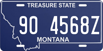 MT license plate 904568Z