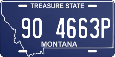 MT license plate 904663P
