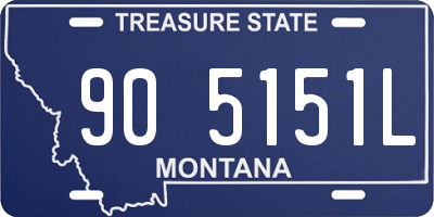 MT license plate 905151L