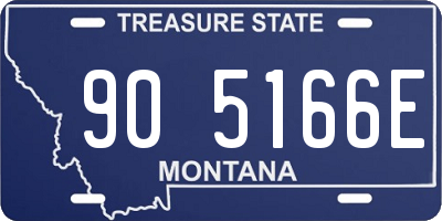 MT license plate 905166E