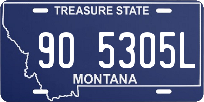 MT license plate 905305L