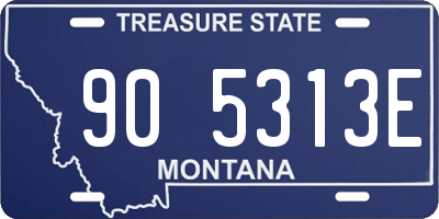 MT license plate 905313E