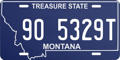 MT license plate 905329T
