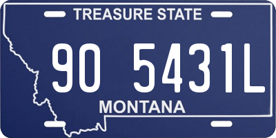 MT license plate 905431L