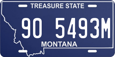 MT license plate 905493M