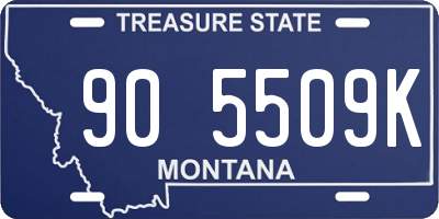 MT license plate 905509K