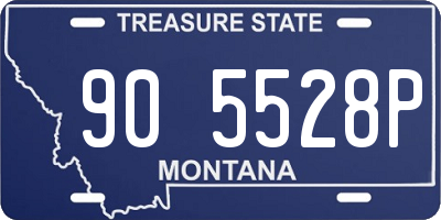 MT license plate 905528P