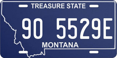 MT license plate 905529E