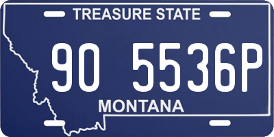 MT license plate 905536P