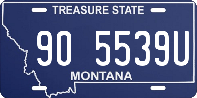 MT license plate 905539U