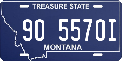 MT license plate 905570I