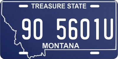 MT license plate 905601U