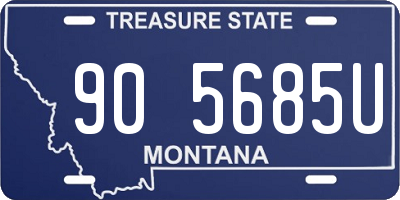 MT license plate 905685U