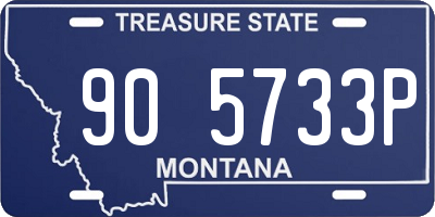 MT license plate 905733P