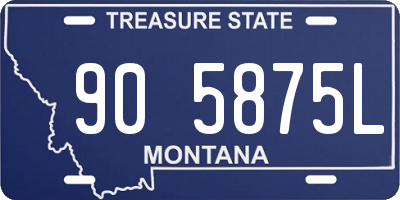 MT license plate 905875L