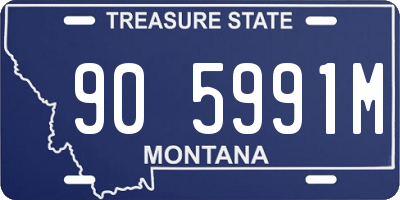 MT license plate 905991M