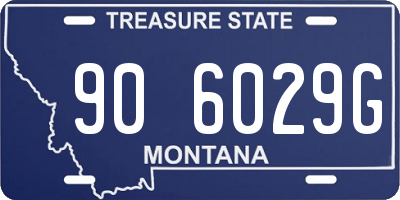 MT license plate 906029G