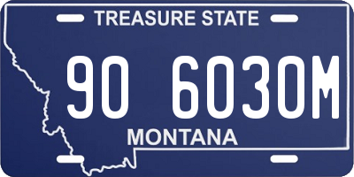 MT license plate 906030M