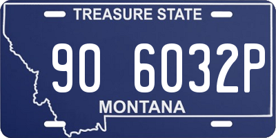 MT license plate 906032P