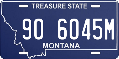 MT license plate 906045M