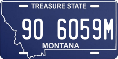 MT license plate 906059M