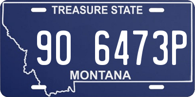 MT license plate 906473P