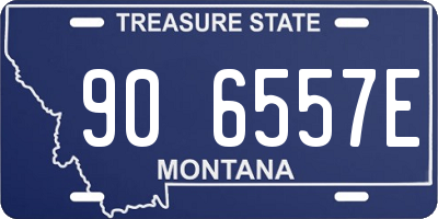 MT license plate 906557E