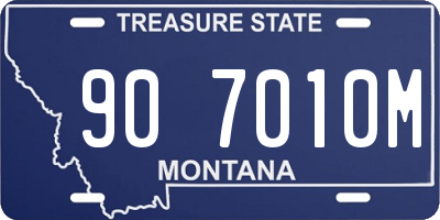 MT license plate 907010M
