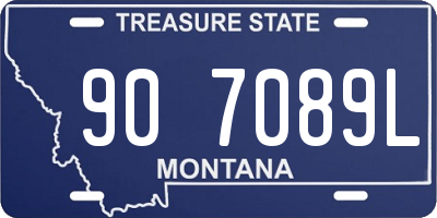 MT license plate 907089L