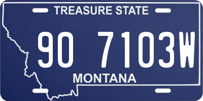 MT license plate 907103W