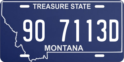 MT license plate 907113D